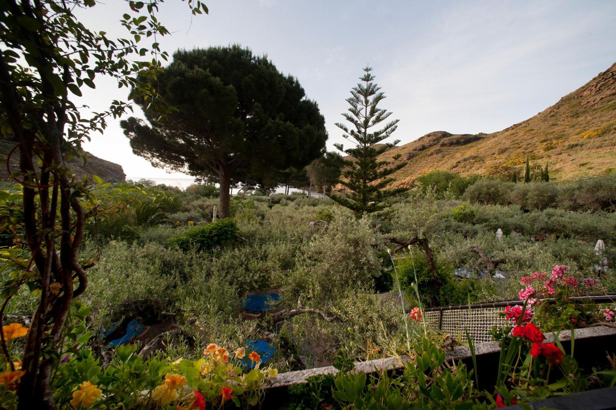 Hotel Cala Joncols Rosas Exteriör bild