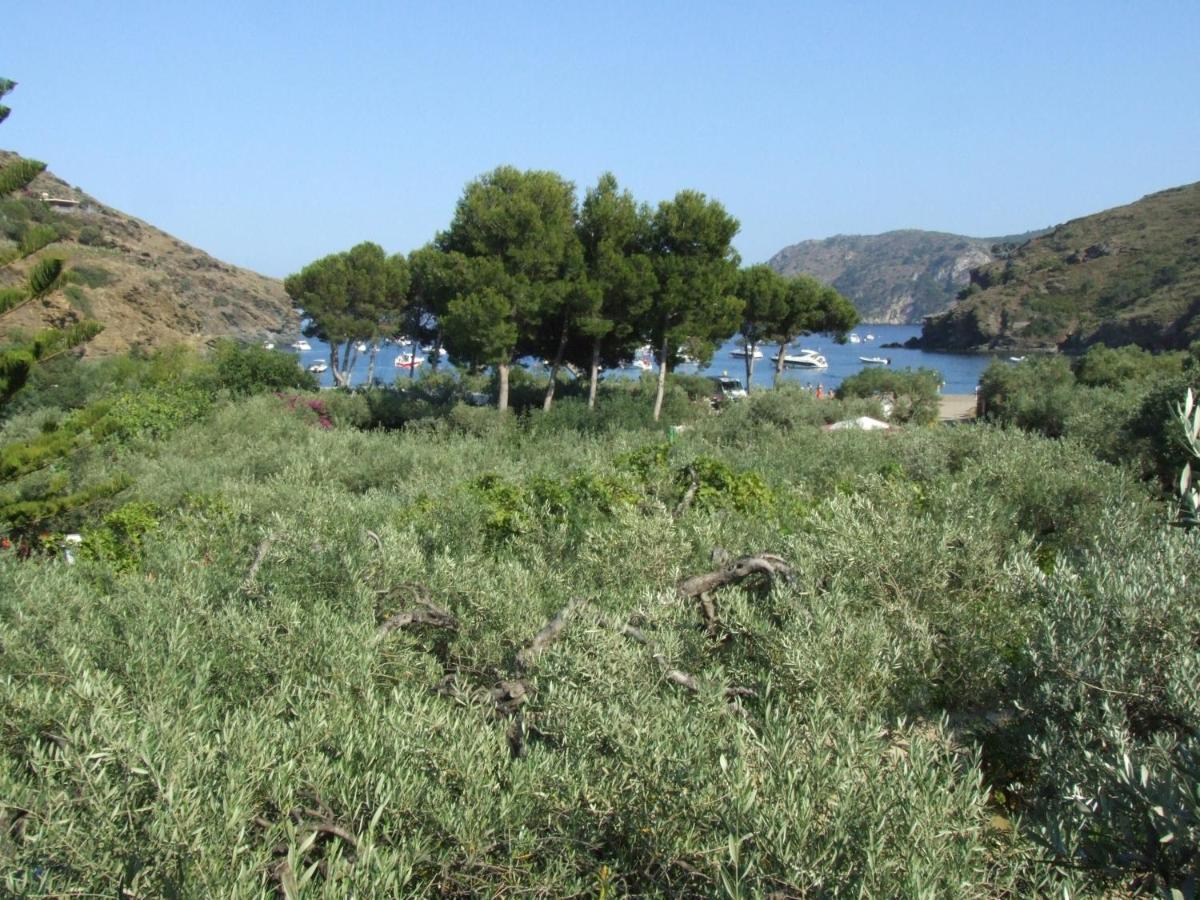 Hotel Cala Joncols Rosas Rum bild